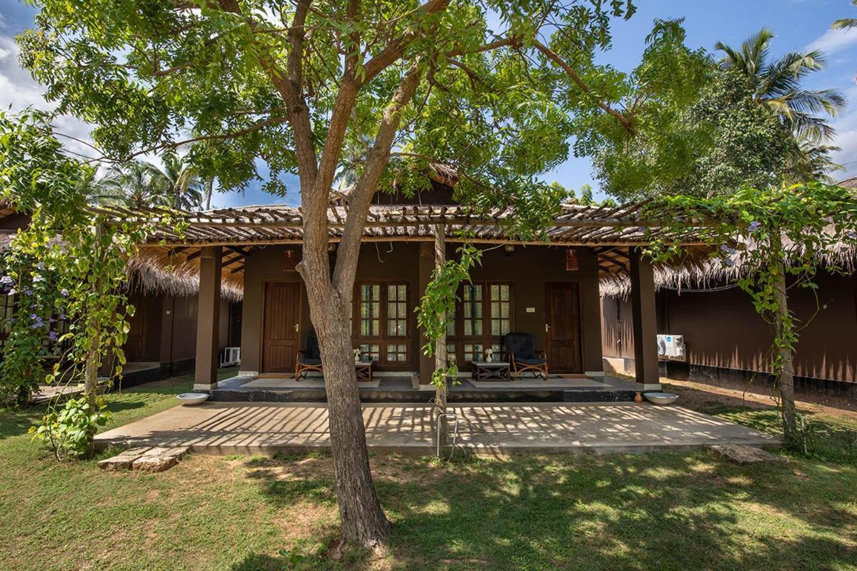 Club Mango Resort Калпития Экстерьер фото